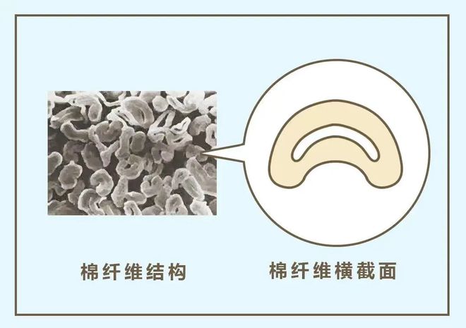 bsports必一体育秋天忽冷忽热真心劝你给娃换上这种衣服(图1)